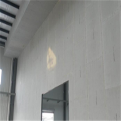 城阳宁波ALC板|EPS加气板隔墙与混凝土整浇联接的实验研讨